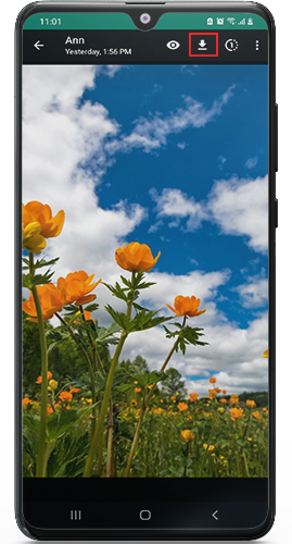 download-view-once-images.png