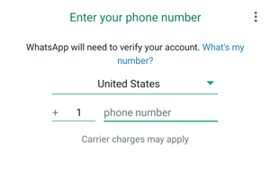 enter-phone-number-anwhatsapp.png
