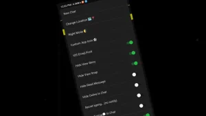 snapchat-pro-hide-view-story