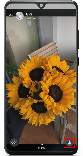 Update-WhatsApp-Pro-Latest-3