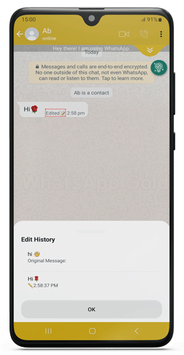 WhatsApp-Gold-Latest-8