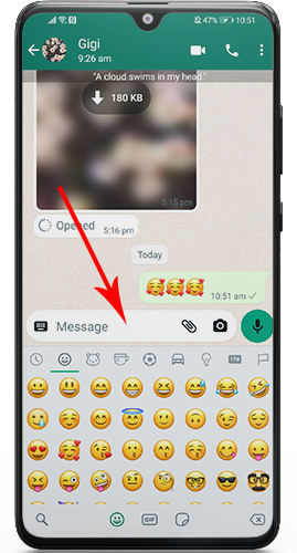 WhatsApp-Pro-9